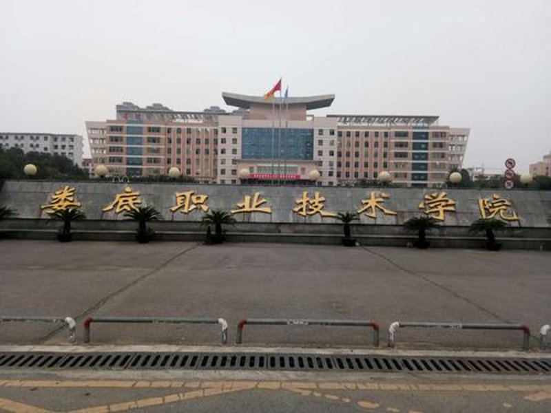 娄底商贸公司的行业动态与未来趋势